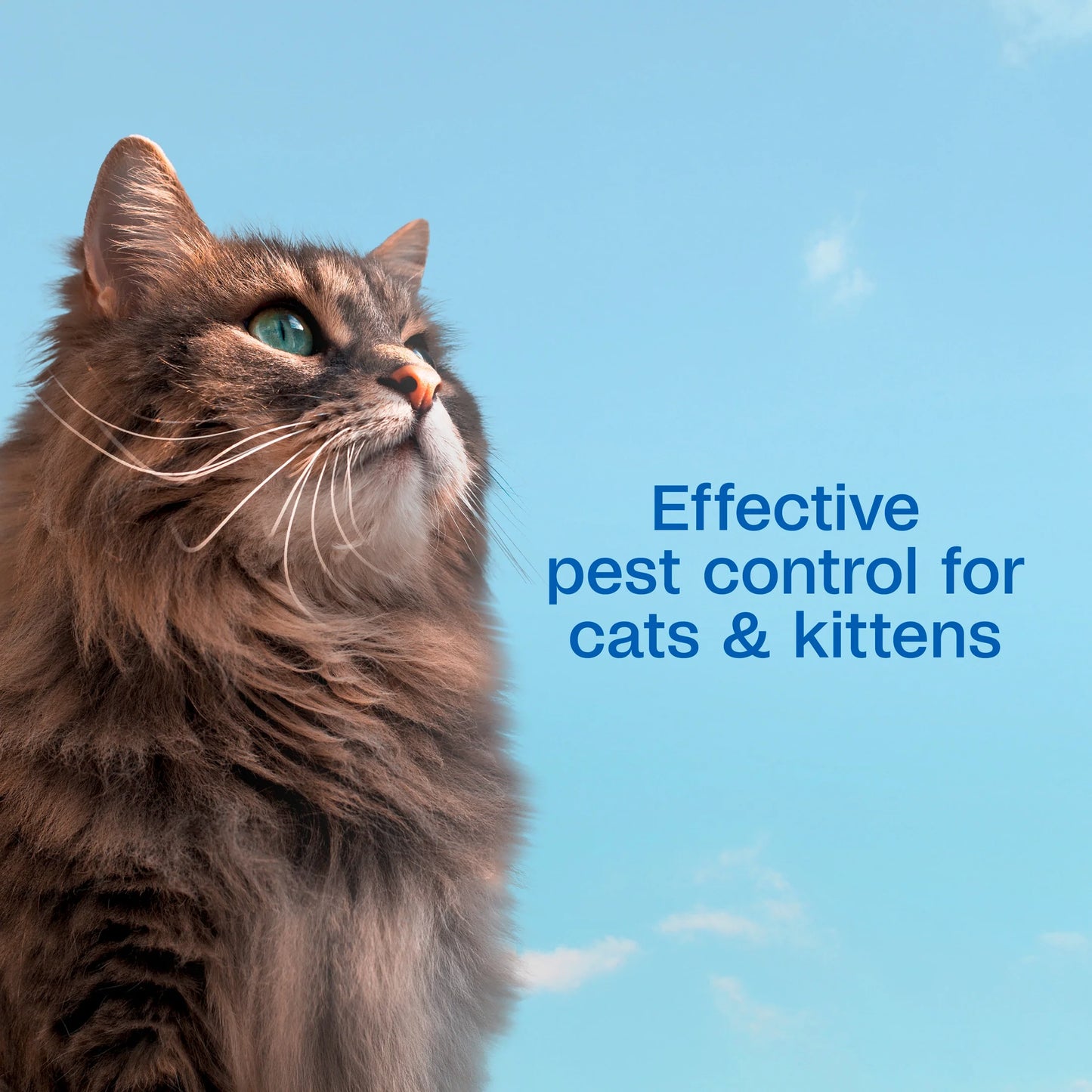 Flea & Tick Cleansing Shampoo for Cats, 12 Ounces