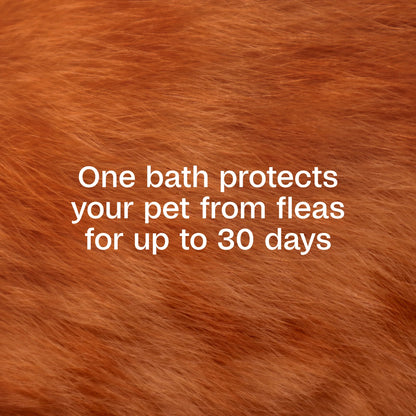 Flea & Tick Cleansing Shampoo for Cats, 12 Ounces